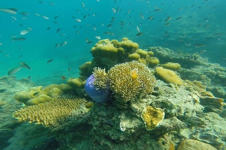 Uncover Trang Sea's Hidden Gems: 4 Islands & Emerald Cave Adventure!