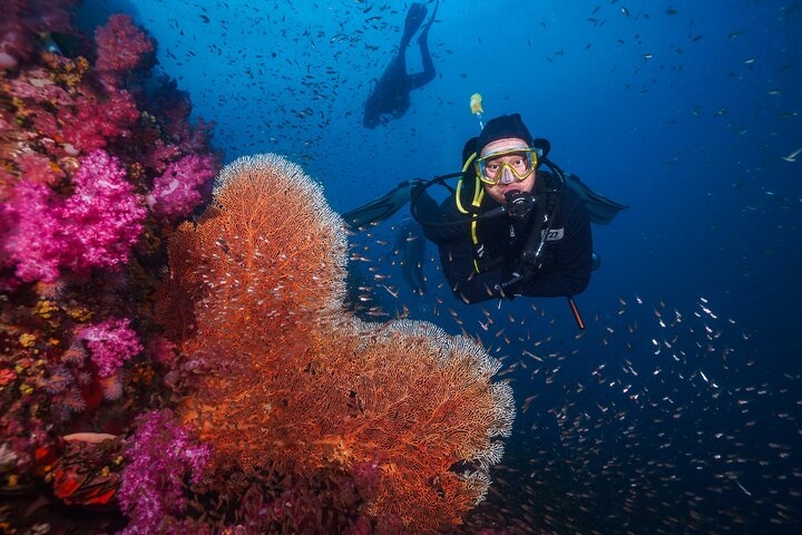 Similan Islands Scuba Adventure: 2-Day Liveaboard Dive Trip from Khao Lak