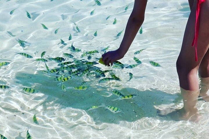Image 1