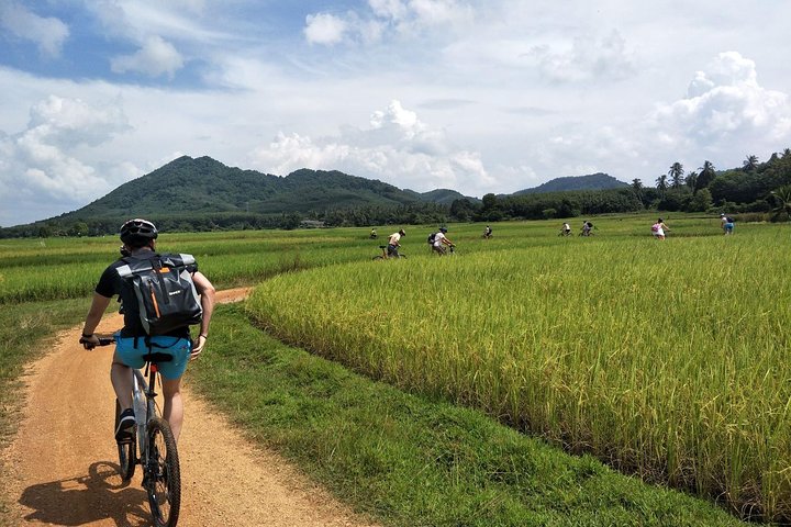 Explore Koh Yao Noi: Cycle, Beach & Thai Delights