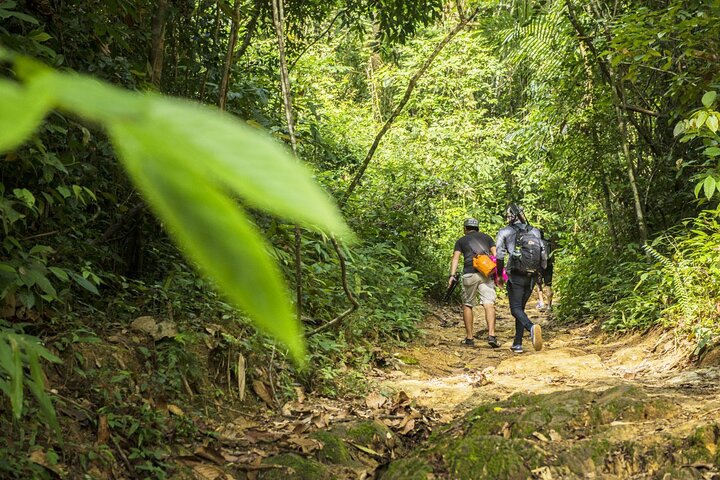 Unleash Your Inner Explorer: Phuket Jungle Trekking Adventure!