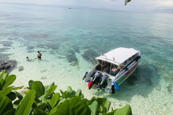 Image 1