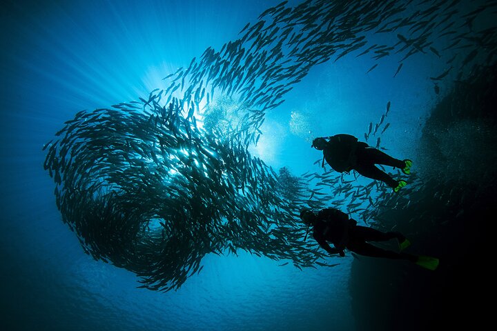 Unlock Underwater Adventures: 2-Day PADI Advanced Course in Phi Phi