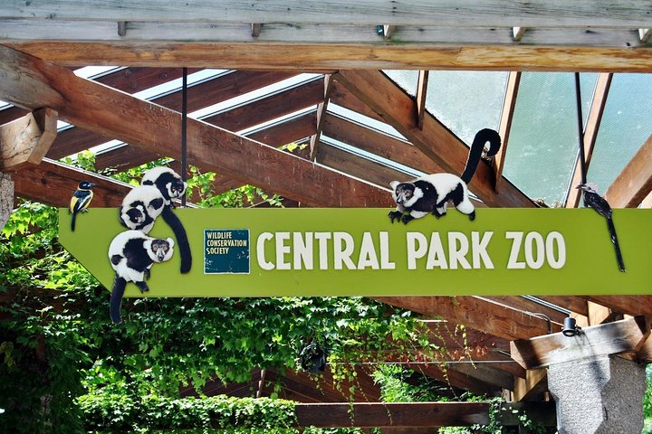 NYC Adventure: See 30 Sights & Central Park Zoo!