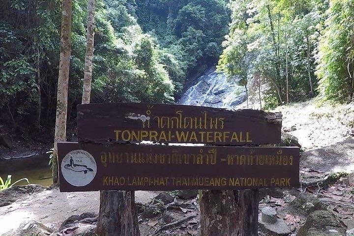 Phuket to Khao Sok: Full-Day Jungle & Canoe Adventure