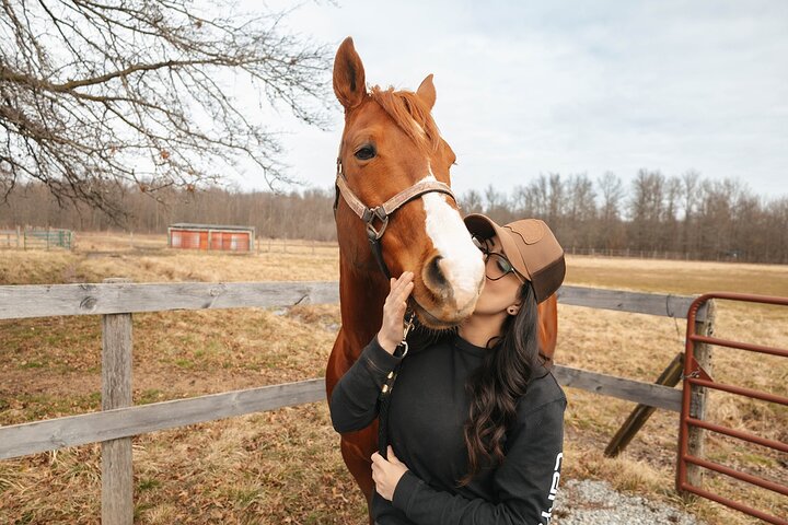 Niagara Horseback Adventure: Ride 5 Trail Experience