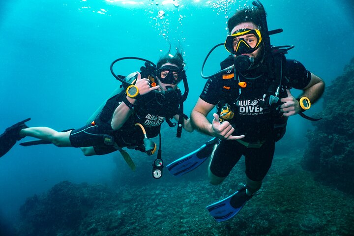 Explore Phi Phi's Underwater Wonders: A Scuba Diving Adventure