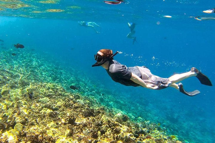 Krabi's Aquatic Adventure: Yawasam, Talu & Buya Islands Snorkeling