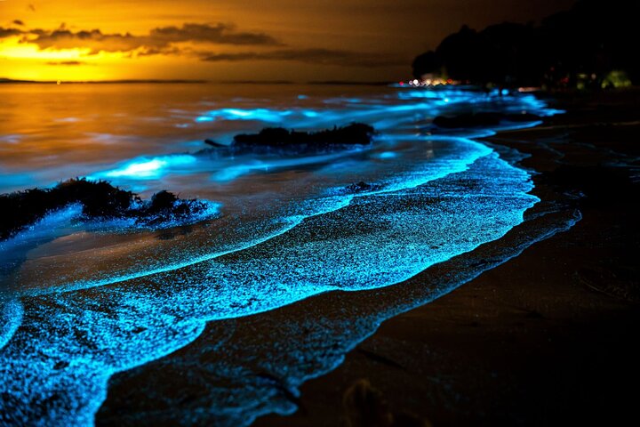 Enchanting Twilight Sea Canoe Adventure: Bioluminescent Plankton & James Bond Island