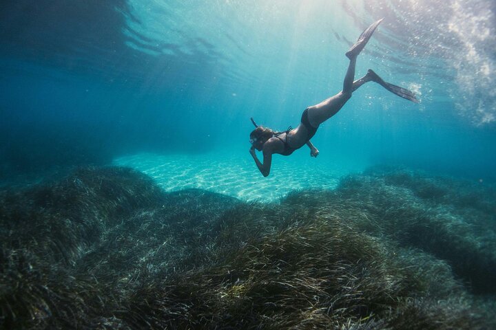 Uncover Thailand's Underwater Paradise: Koh Rok & Koh Haa Snorkeling Adventure