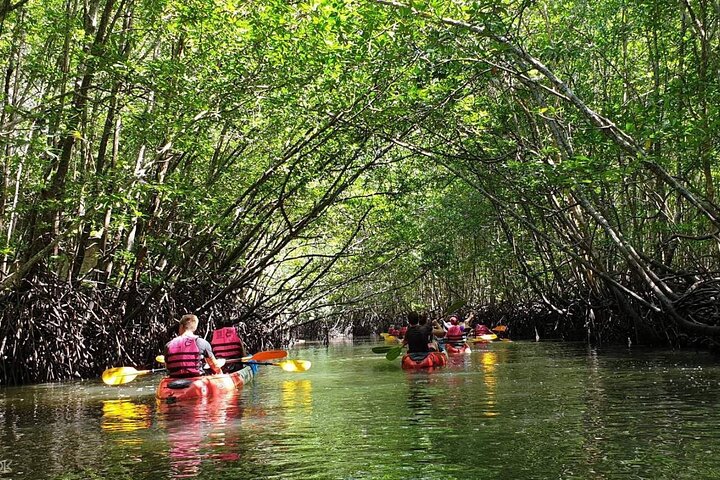 Ko Lanta Kayak Adventure: Explore Mangrove Wonders & Local Life