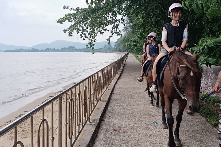 Phuket's Coastal Ride: Eco-Friendly Horseback Adventure!