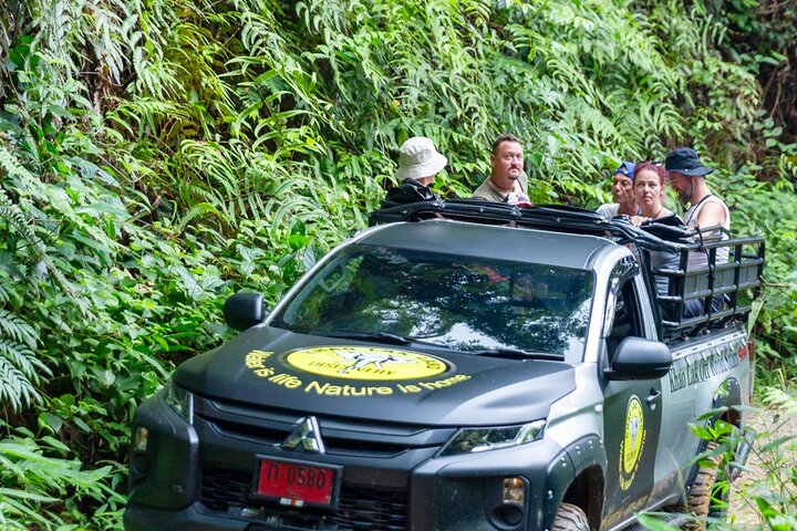 Khao Lak Off-Road Adventure: Jungle Safari & Mangrove Canoe