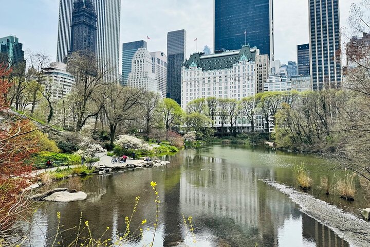 Central Park Pedicab Adventure: Explore NYC's Iconic Heart!