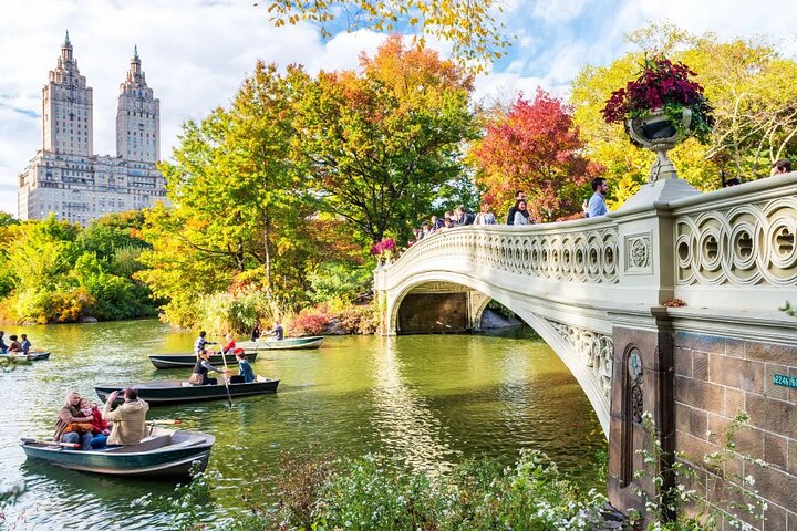 Central Park Pedicab Tour: Discover NYC's Green Oasis in Style
