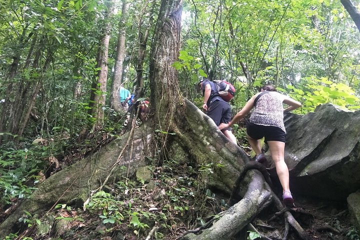 Uncover Phuket's Hidden Rainforest: An Adventurous Jungle Trek