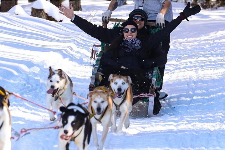 Ushuaia's Winter Wonderland: A Full-Day Snow Adventure!