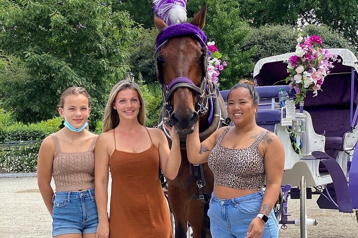 Magical Central Park Carriage Ride: Iconic NYC Landmarks & Photo-Ops!