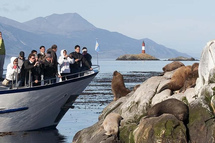 Darwin's Voyage: Beagle Channel Catamaran Cruise to Sea Lion Island
