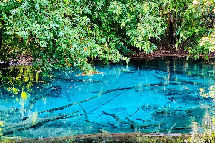 Krabi Rainforest Joy: A Culinary Viewpoint Adventure