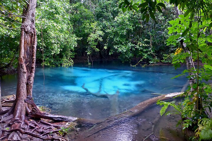 Krabi's Jungle Gems: Hot Springs, Emerald Pools & Temple Heights!