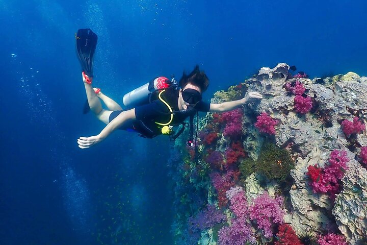 Phuket Scuba Diving: Explore Underwater Wonders for All Levels!