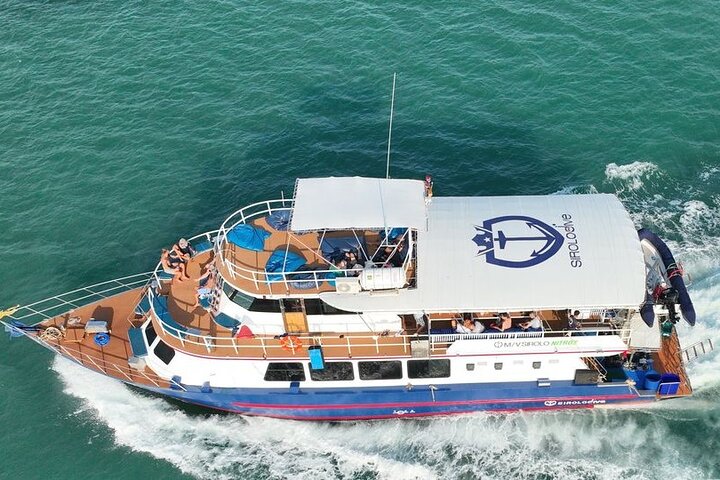 Image 2