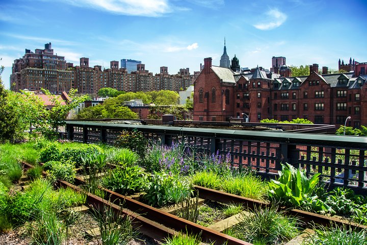 Explore NYC's High Line, Meatpacking & Chelsea: A VIP Small-Group Walking Tour