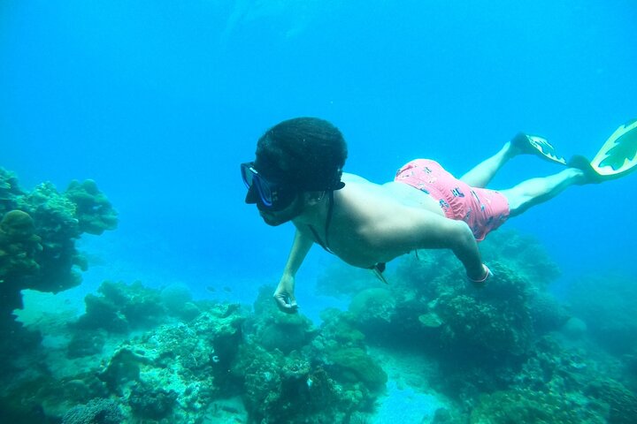 Phuket's Paradise Found: Phi Phi & Khai Islands Speedboat Adventure