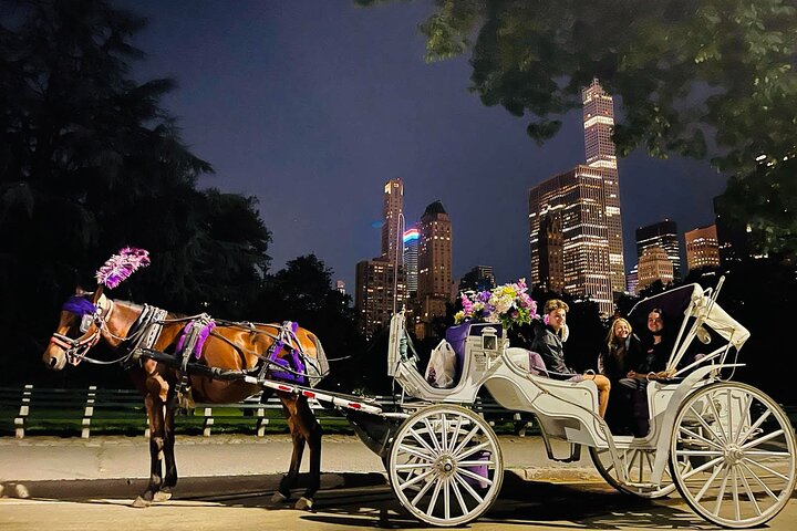 Central Park Moonlight Ride: A Magical Horse-Drawn Carriage Photo Tour