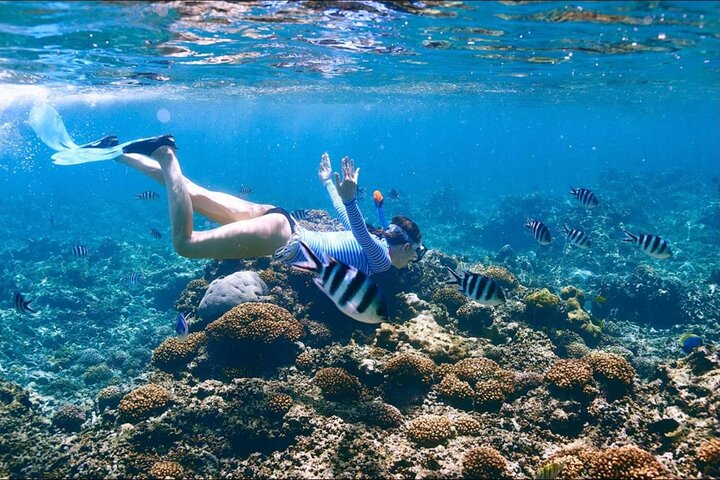 Discover Phuket's Underwater Wonders: A Private Scuba Diving Adventure