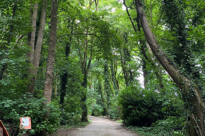 Unleash Family Fun: Treasure Hunt Adventure at Fota Island Resort