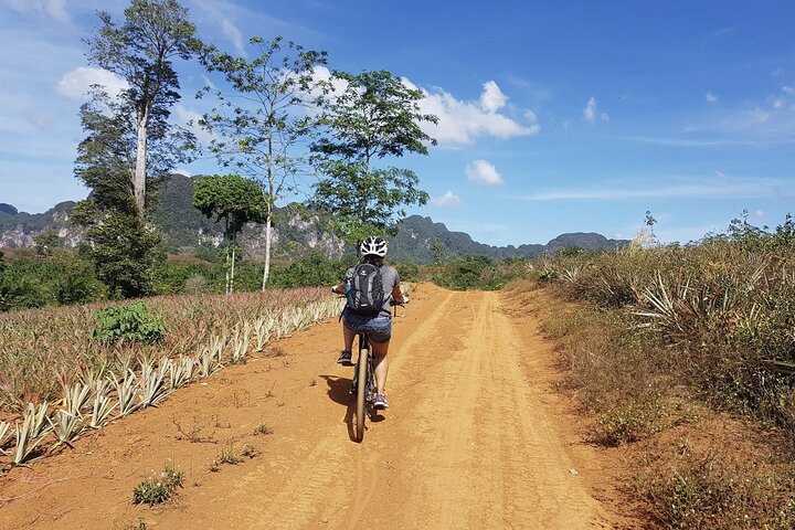 Krabi's Countryside Eco-Adventure: Cycle Through Rainforests & Villages
