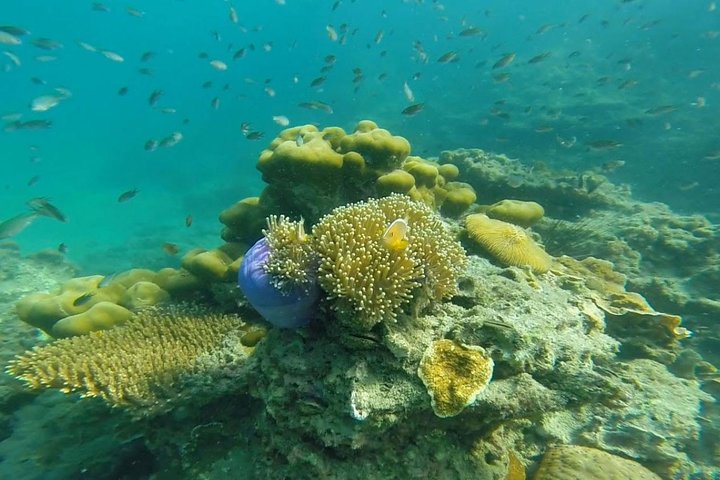 Discover Thailand's Hidden Gems: Snorkeling Adventure to 4 Islands & Emerald Cave
