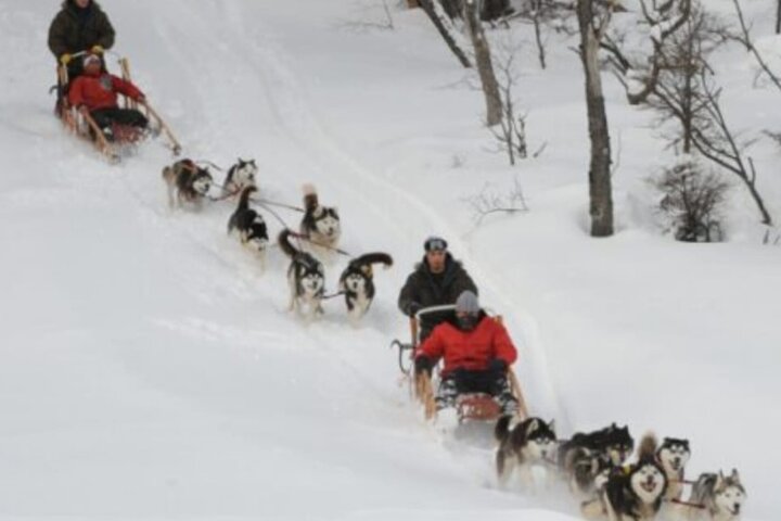 Ushuaia Husky Sleigh Ride & Snowshoe Adventure: A Winter Wonderland Expedition