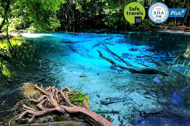 Krabi Jungle Adventure: Emerald Pool, Hot Springs & Tiger Cave Expedition