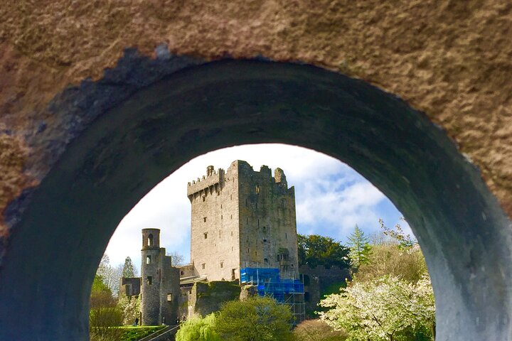 Uncover Ireland's Charms: A Private Blarney Castle & Kinsale Shore Excursion