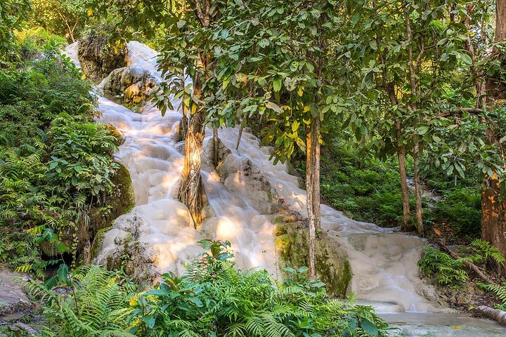 Conquer Chiang Mai's Sticky Waterfalls: A Thrilling Half-Day Adventure