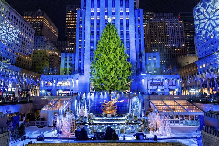 Enchanting Christmas Lights Carriage Ride: A Fairytale Journey Through NYC